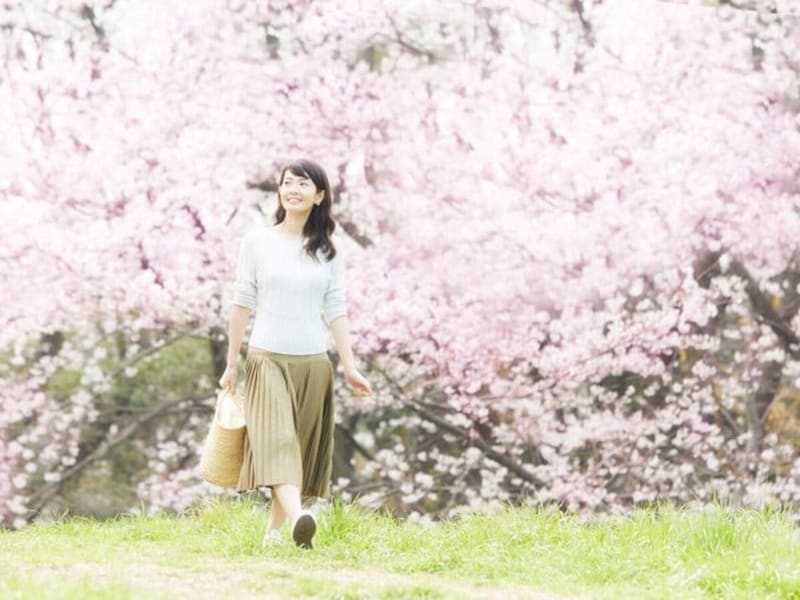 花あかり・花いかだ……桜言葉とは