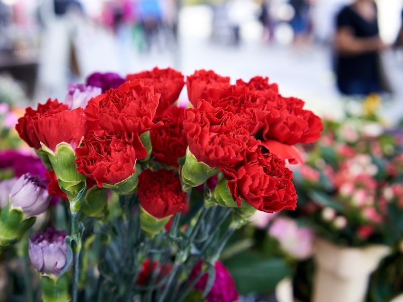 母の日の本当の由来は？